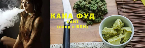 прущий лед Алзамай