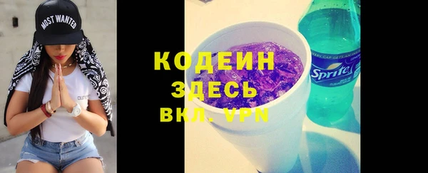 прущий лед Алзамай