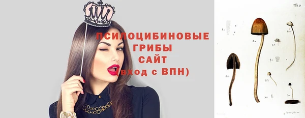 прущий лед Алзамай