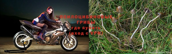 прущий лед Алзамай