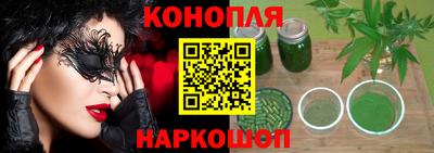 шишки Гай