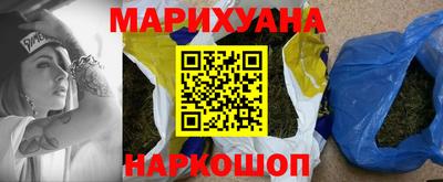 шишки Гай