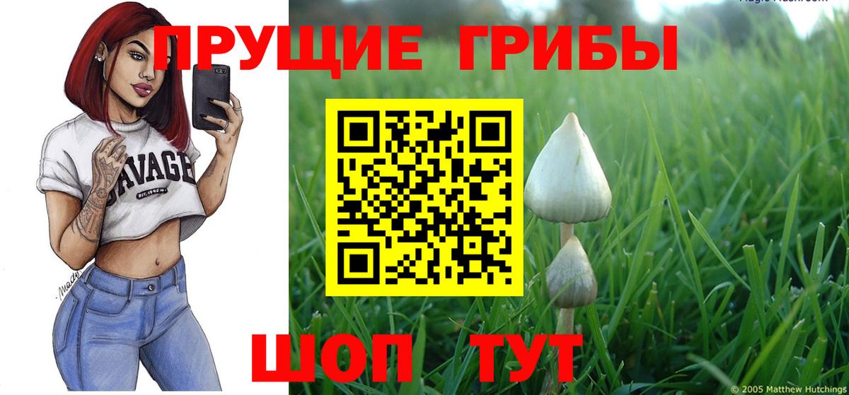 Лысьва  Галлюциногенные грибы Cubensis  Галлюциногенные грибы Psilocybe  Вход с VPN 